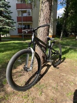 CTM dirtking Pro