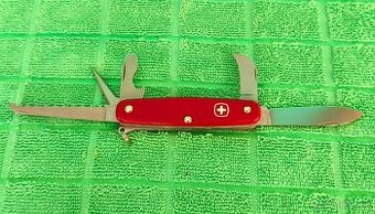 Wenger Delémont Professional 1.72.31