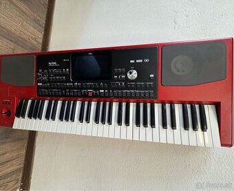 KORG Pa700RD