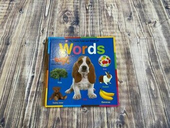 Kniha Words - veľké anglické leporelo