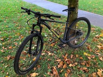 Predam horsky Cannondale