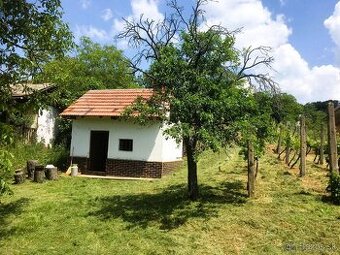 Rekreačný domček so širokým slnečným pozemkom, Staré Levice