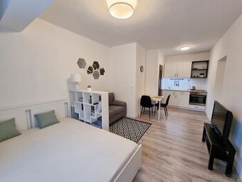 1 IZBOVÝ BYT - SEVER - KOMPLETNÁ REK. - 30 m2 - OD 1.6