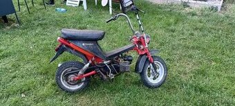 Babetta Stella 134