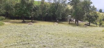 Ponúkam na predaj pozemok v Púchove, časť Hoštiná.
