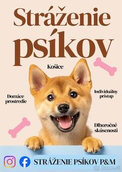 Stráženie psíkov P&M | Košice - 1
