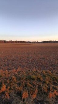 Turčianske Teplice - Diviaky - Orná pôda s výmerou 5571 m2