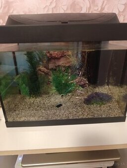 Predám akvárium 30l