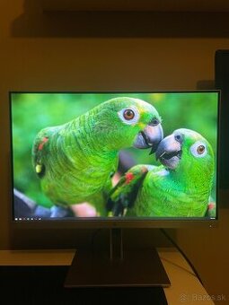 HP EliteDisplay 243i Monitor