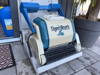 Hayward Tiger Shark