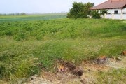 Stavebný pozemok v Topoľčanoch