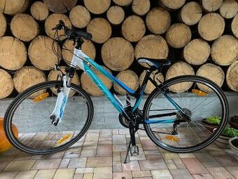 Bicykel CTM BORA 1.0 matná čierna/tyrkysovo zelená