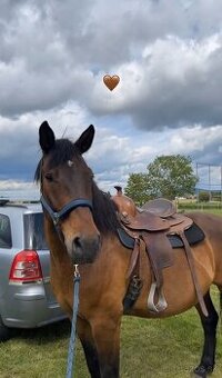 Westernové sedlo - 1