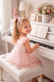 Súkromné hodiny a doučovanie hry na zobcovú flautu a klavír