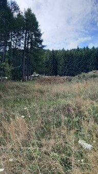 Pozemok v okrese BYTČA, obec Petrovice, k. ú. SETECHOV