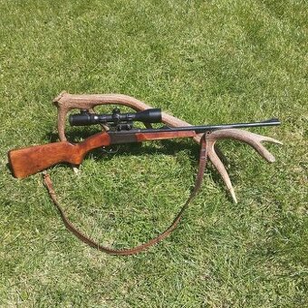 Guľovnica 223 remington