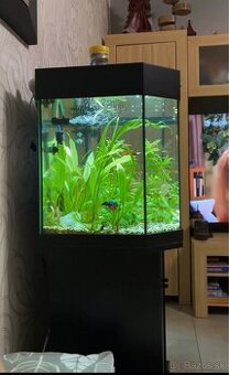 Akvárium Juwel pre ryby so skrinkou