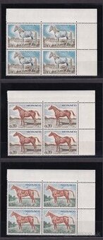 Monako - koníky v štvorblokoch