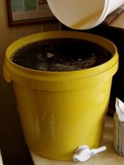 Darujem vlašské orechy sladké svetlé 5kg k odberu MEDU