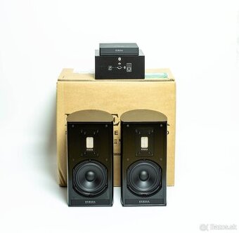 Piega Premium Wireless 301