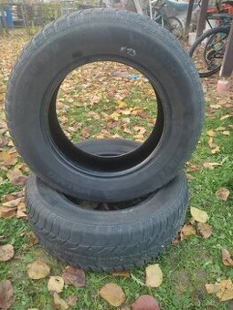 PAXARO 205/65 R15 H M+S