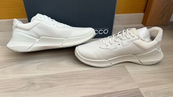 ECCO biom