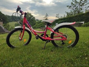 CTM Ellie 20" - dievčenský, ružový
