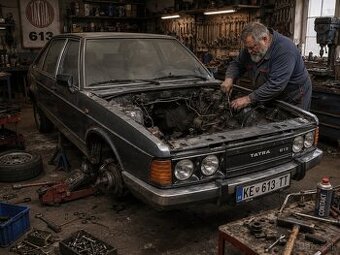 Tatra 613
