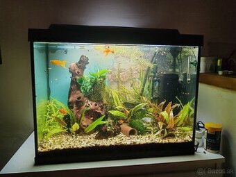 Akvárium Tetra 80 litrov
