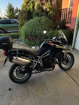 Triumph TIGER 800