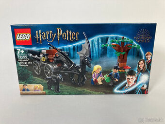 LEGO® Harry Potter 76400 Bradavice: Kočár a testrálové