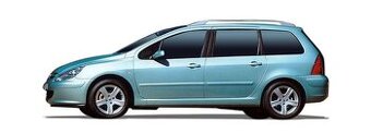 Diely peugeot 307