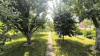 Na predaj záhradka s chatkou v meste Partizánske, 200m2