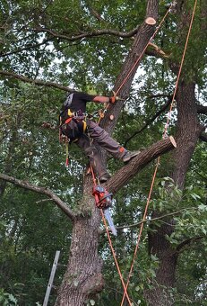 Rizikové pílenie - 1