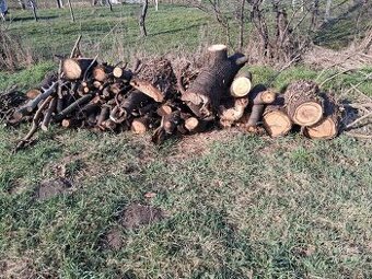 Darujem drevo za odvoz