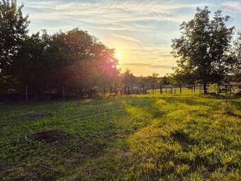 Na predaj 9á pozemok v obci Iňa, okres Levice