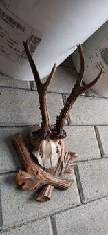 Srnčia trofej s podložkou - 1