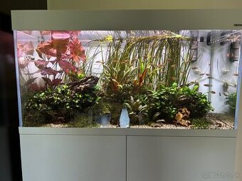 AquaEl Opti Set akvarijný set 101x41x56 biely