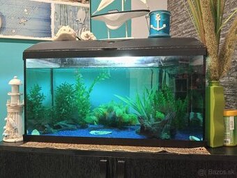 Akvarium