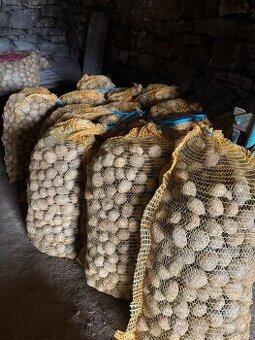 sadbove zemiaky sadba