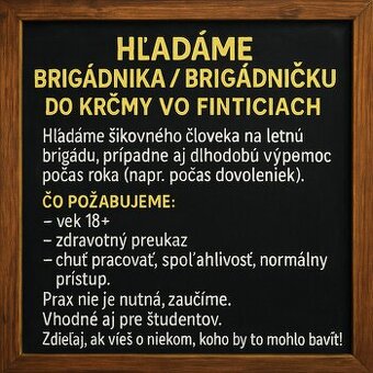Brigada v pohostinstve vo finticiach