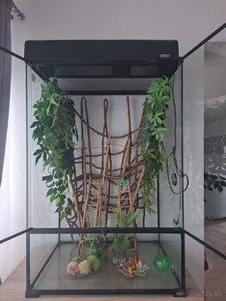 Terarium