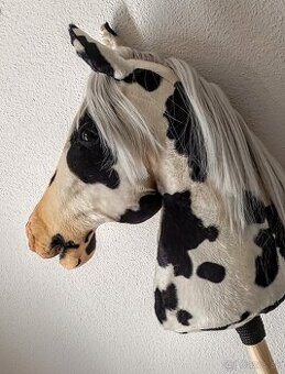 Appaloosa Black&White s ohlávkou a oťažami