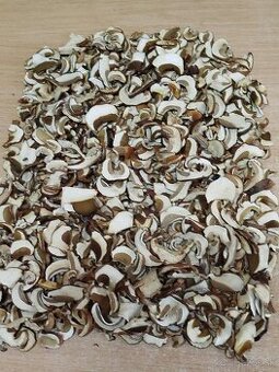 Predám sušené hríby – 100% kvalita