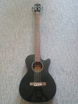 Elektro Akustická basgitara