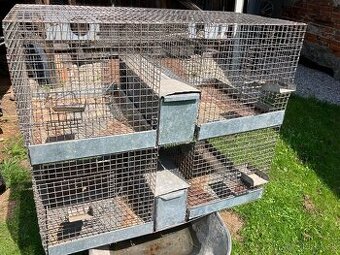 Predam chovne klietky činčila, kralik, prepelica