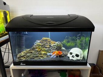 Diversa 60L