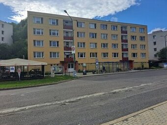 Dám do prenájmu 1i byt v BS