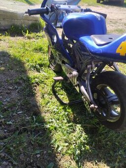 Predam Yamaha piolanti