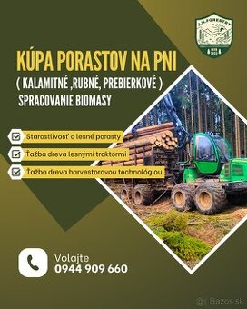 Ťažba dreva a kúpa porastov na pni